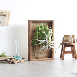 人工観葉植物 ウォールグリーン | Botanical sl.class 02