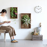 人工観葉植物 ウォールグリーン | Botanical sl.class 02