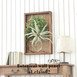 人工観葉植物 ウォールグリーン | Botanical sl.class 02