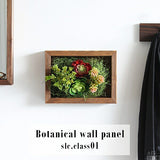 アートパネル 光触媒 観葉植物 | Botanical slc.class 01
