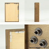 アートパネル 光触媒 観葉植物 | Botanical slc.class 01