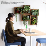 アートパネル 光触媒 観葉植物 | Botanical slc.class 01