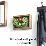 アートパネル 光触媒 観葉植物 | Botanical slc.class 01