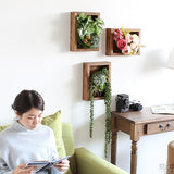 アートパネル 光触媒 観葉植物 | Botanical slc.class 01