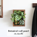 観葉植物 フェイク | Botanical slc.class 03