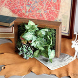 観葉植物 フェイク | Botanical slc.class 03