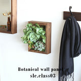 観葉植物 フェイク | Botanical slc.class 03