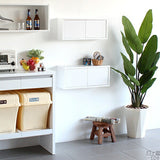 ウォールシェルフ 扉付き | WallBox7-DX B 単品S 木目