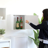 ウォールシェルフ 扉付き | WallBox7-DX D 単品M 木目