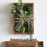 人工観葉植物 ウォールグリーン | Botanical s.class 11