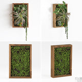 人工観葉植物 ウォールグリーン | Botanical s.class 11