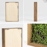 アートパネル 光触媒 観葉植物 | Botanical s.class 13