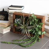 人工観葉植物 ウォールグリーン | Botanical s.class 11