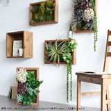 人工観葉植物 ウォールグリーン | Botanical s.class 11