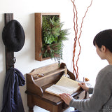 フェイクグリーン 壁掛け 光触媒 | Botanical s.class 12