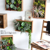 フェイクグリーン 壁掛け 光触媒 | Botanical s.class 12