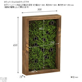 アートパネル 光触媒 観葉植物 | Botanical s.class 13