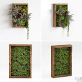 アートパネル 光触媒 観葉植物 | Botanical s.class 13