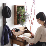 アートパネル 光触媒 観葉植物 | Botanical s.class 13