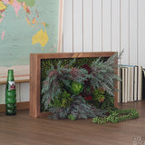 アートパネル 光触媒 観葉植物 | Botanical s.class 13