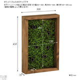 光触媒 人工観葉植物 | Botanical s.class 14