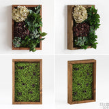 光触媒 人工観葉植物 | Botanical s.class 14