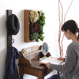 光触媒 人工観葉植物 | Botanical s.class 14