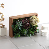 光触媒 人工観葉植物 | Botanical s.class 14