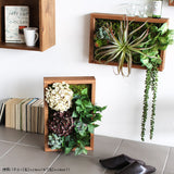 光触媒 人工観葉植物 | Botanical s.class 14