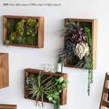 光触媒 壁掛け アートパネル | Botanical s.class 15