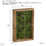 壁掛け アートパネル | Botanical s.class 16