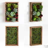 壁掛け アートパネル | Botanical s.class 16