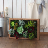 壁掛け アートパネル | Botanical s.class 16