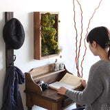 観葉植物 フェイク | Botanical s.class 17