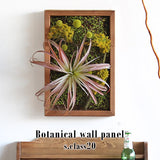 人工観葉植物 ウォールグリーン | Botanical s.class 20