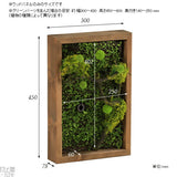 人工観葉植物 ウォールグリーン | Botanical s.class 20