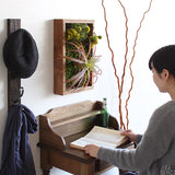 人工観葉植物 ウォールグリーン | Botanical s.class 20