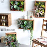 人工観葉植物 ウォールグリーン | Botanical s.class 20