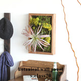 人工観葉植物 ウォールグリーン | Botanical s.class 20