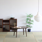 センターテーブル 木製 ウッドテーブル | glande-V 900×600楕円LT