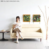 アートパネル 光触媒 観葉植物 | Botanical classic f4-3030b