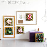 観葉植物 アンティーク | Botanical classic f4-3030d