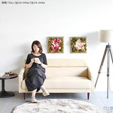 観葉植物 アンティーク | Botanical classic f4-3030d