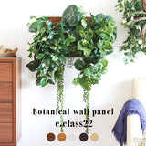 人工観葉植物 ウォールグリーン | Botanical c.class 22