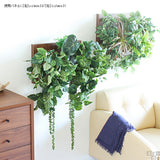 人工観葉植物 ウォールグリーン | Botanical c.class 22