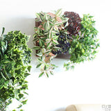 フェイクグリーン 壁掛け 光触媒 | Botanical c.class 23