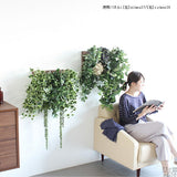 フェイクグリーン 壁掛け 光触媒 | Botanical c.class 26