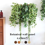 壁掛け アートパネル | Botanical c.class 27