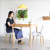 ソファチェア カフェチェアー | Joneチェア1P専用カバーのみ イラスト生地