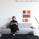 西陣織柄 ファブリックパネル | anp 2シリーズ 鯉赤